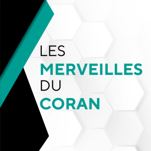 Les merveilles du Coran – Le chameau