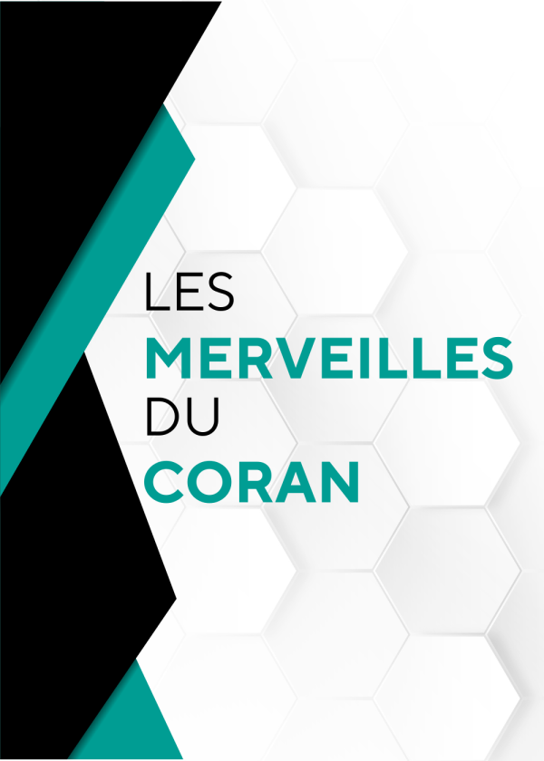 Les merveilles du Coran – Le chameau