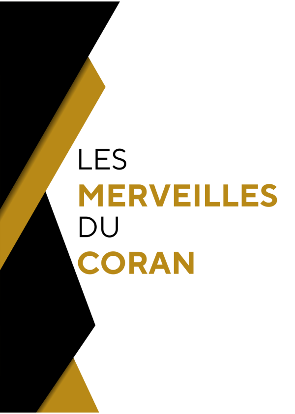 Les merveilles du Coran – La création de l'homme