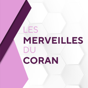 Les merveilles du Coran – Palindrome