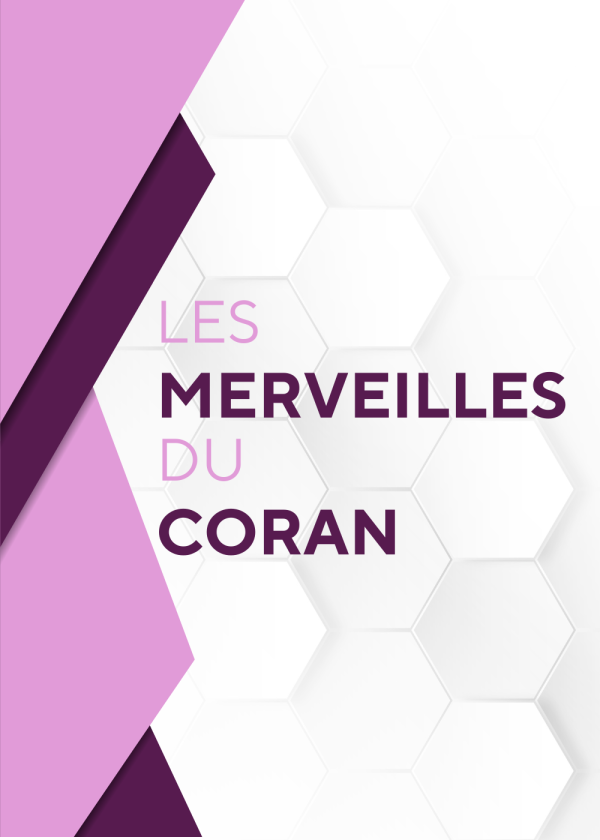 Les merveilles du Coran – Palindrome