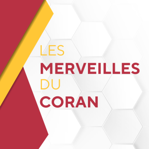 Les merveilles du Coran – La figue et l'olive