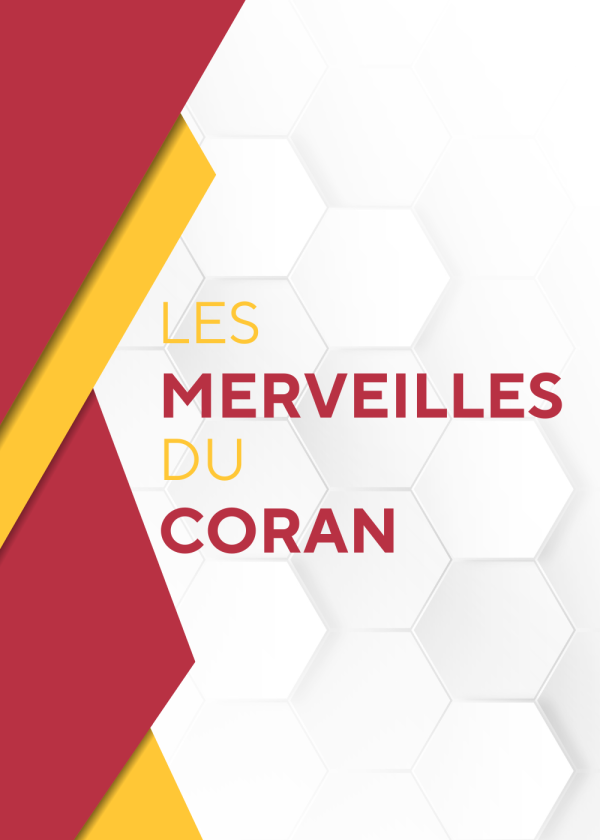 Les merveilles du Coran – La figue et l'olive