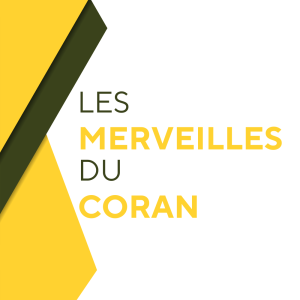 Les merveilles du Coran – Les abeilles et le miel