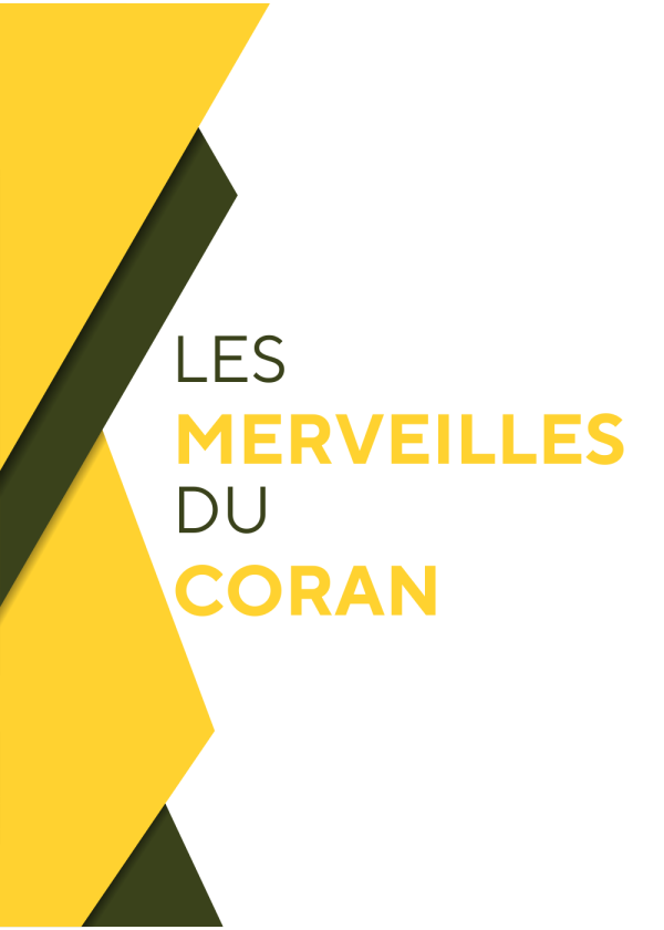 Les merveilles du Coran – Les abeilles et le miel