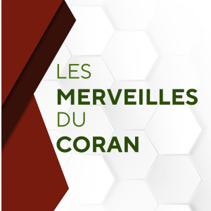 Les merveilles du Coran – Le soleil