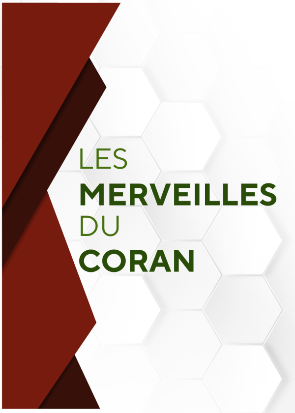 Les merveilles du Coran – Le soleil